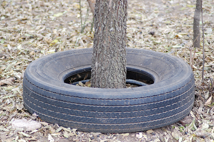tire, tree, old, rubber, wheel, overgrown, outdoor