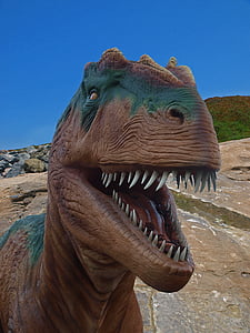 ไดโนเสาร์, จูราสสิ, t-rex, สัตว์เลื้อยคลาน, ใหญ่, สัตว์, ยุคก่อนประวัติศาสตร์