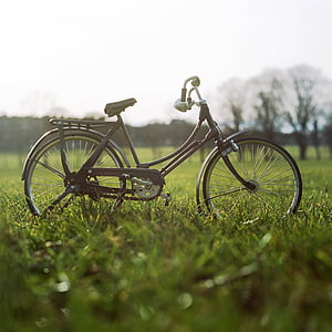 preto, viajante de bilhete mensal, bicicleta, verde, grama, campo, dia