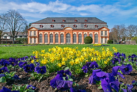Darmstadt, Hesse, Almanya, Bahar, çiçekler, Orangery, Bahçe