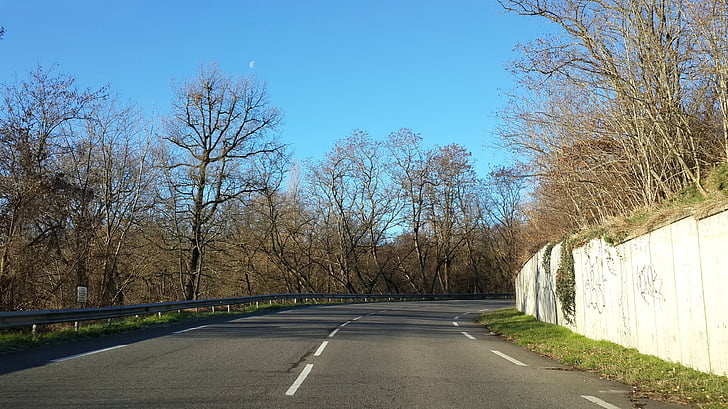 üksi, riigi maantee, Road, puu, maastik, tee, Park