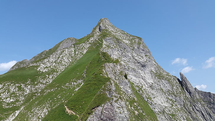 höfats, Allgäu, Grasberg, bratt gress, Allgäu-Alpene, alpint, landskapet