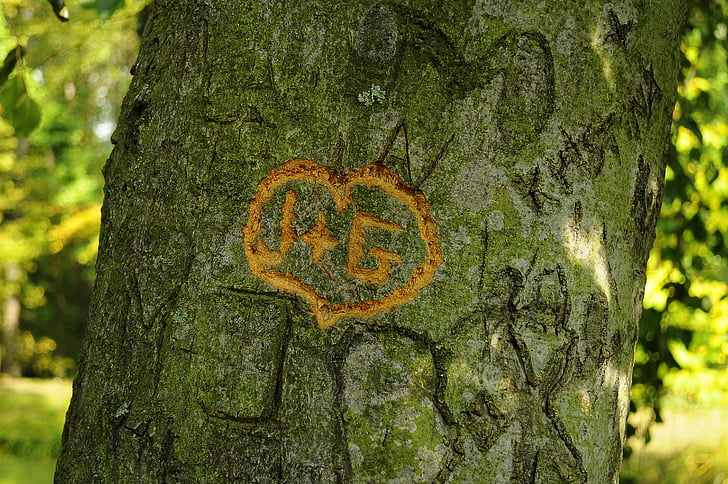 tree, sign, heart, engravings, nature, forest, tree Trunk