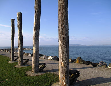 romanshorn, 吸引力, 天然木材, 长椅, 木材, 碎石路, 湖