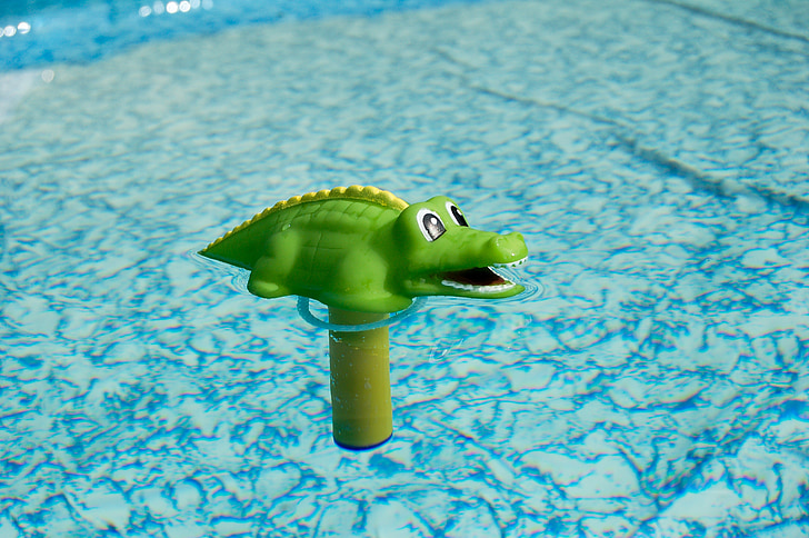 krokodille, basseng, termometer, leketøy, svømmebasseng