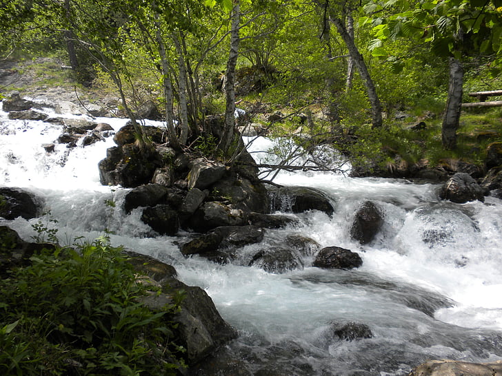 spain, andorra, streams, forest, trees