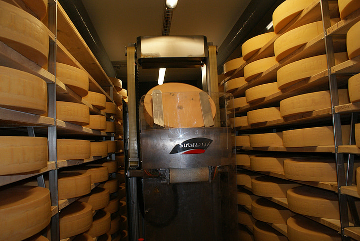 armazenamento de queijo, queijo, queijaria