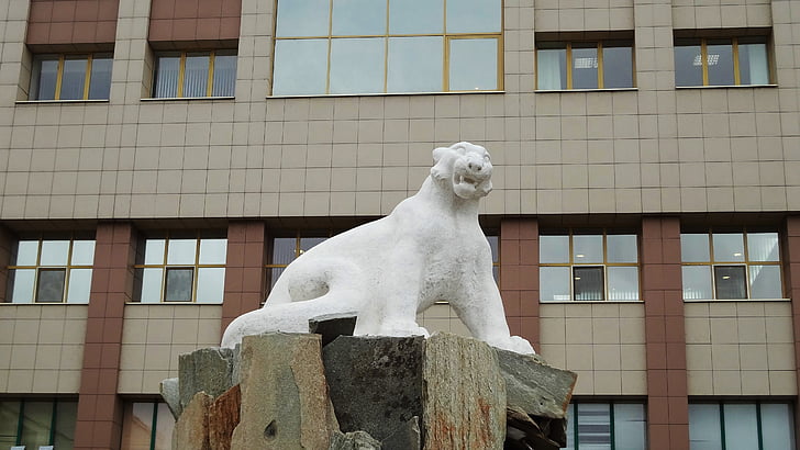 Russia, Tatarstan, Kazan, architettura, Monumento, leopardo, leopardo bianco