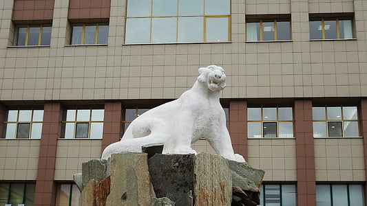 Rusija, Tatarstan, Kazanė, Architektūra, paminklas, leopardas, balta leopardas