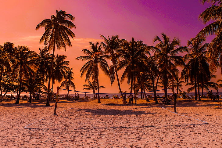 Karibská oblast, pláž, Západ slunce, svátek, Já?, Palmové stromy, ostrov Bacardi
