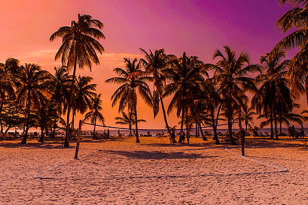 Karibi, Beach, sončni zahod, počitnice, morje, Palme, Bacardi otok