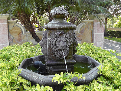 Fontaine, eau, Lion, Floride, en plein air, flux, architecture