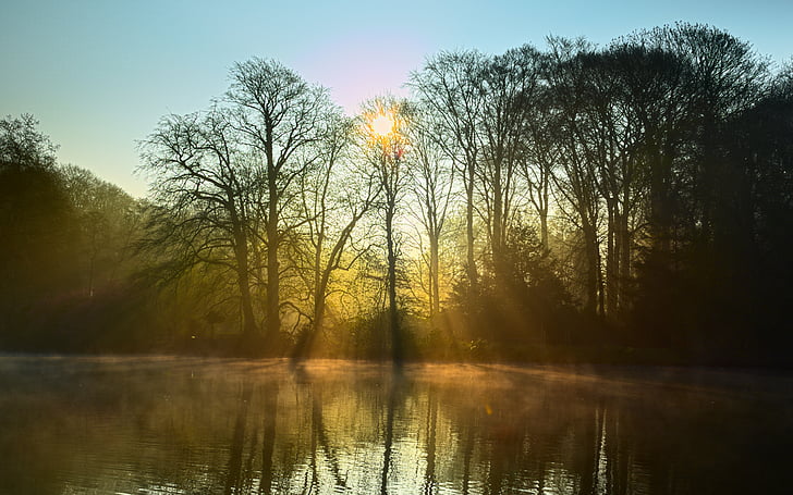 lake, fog, light, mood, trees, sunbeam, sun