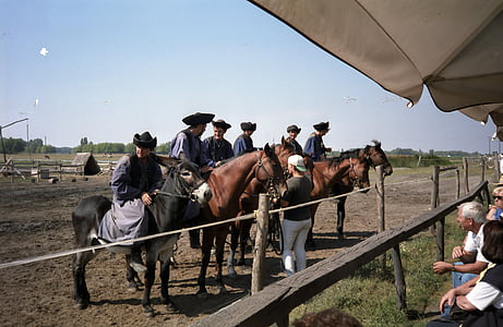Maďarsko, kone, Puszta, cestovný ruch, klobúky, kôň, zviera