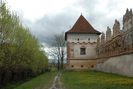 lazarea castle, Siebenbürgen, rike, glemte