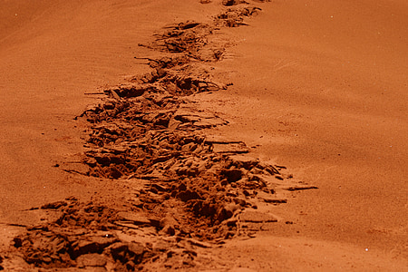 lépések, nyomában, homok