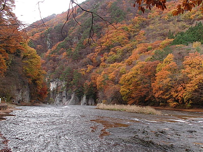 Япония, клен, Водопад