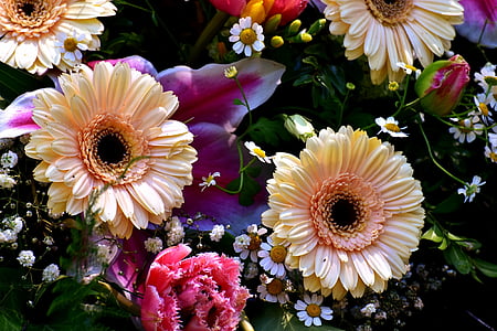 λουλούδια, άνοιξη, φύση, φυτό, μπουκέτο, πολύχρωμο, χρώμα