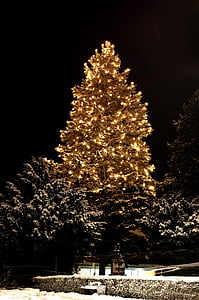 Weihnachten, Weihnachtsbaumschmuck, Grün, Glaskugeln, Schnee, Beleuchtung, Baum