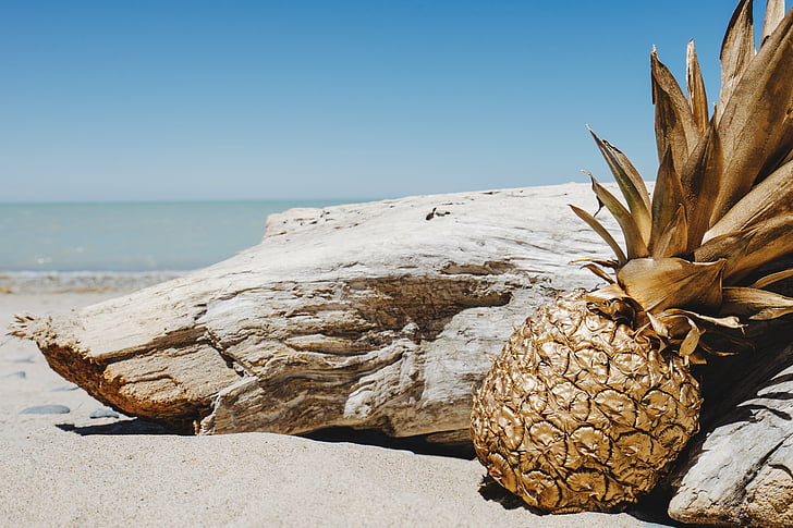 Ananas, dřevo, pobřeží, Příroda, Zimní, den, pláž