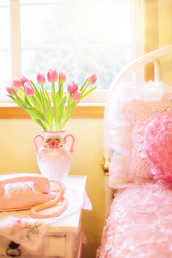 Tulip, merah muda, tempat tidur, pagi, merah muda telepon, musim semi, bunga