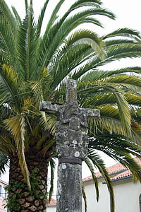 pielgrzymkowy nazywany, Melide, Hiszpania, palmy, drzewo
