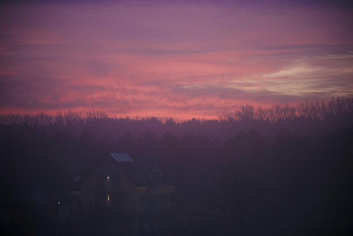 紫, ピンク, サンセット, 夕暮れ, 空, 木, 家