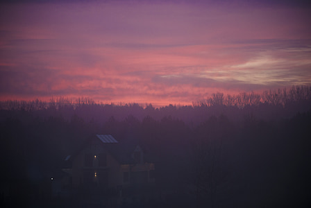 viola, rosa, tramonto, crepuscolo, cielo, alberi, Casa