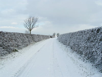 雪, レーン, 道路, 風景, 冬, 冷, ホワイト