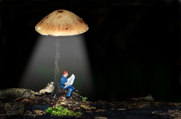 tiny people, small, small world, mini, lantern mushroom, women, nature