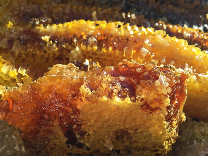 dirvožemio medaus, originalus ekologija, natūralus
