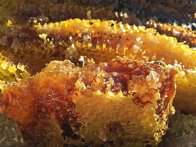 jord honung, den ursprungliga ekologin, naturliga