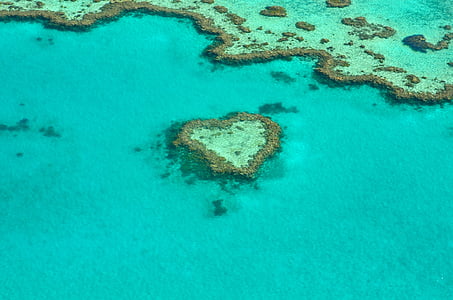 corazón, Coral, Australia, arrecife de coral, gran barrera de coral, Whitsundays, romántica