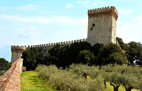 Château, mur de la ville, forteresse, Moyen-Age, tour, fort, architecture