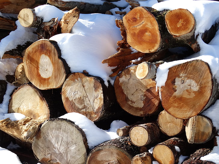 log, stack, holzstapel, winter, winter depot, snow, reforestation