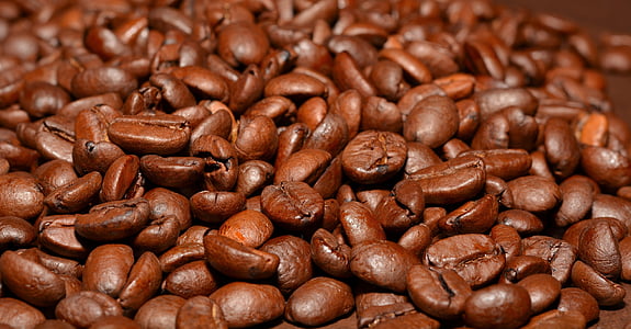 coffee beans, roasted, aroma, caffeine, roasting, coffee, close