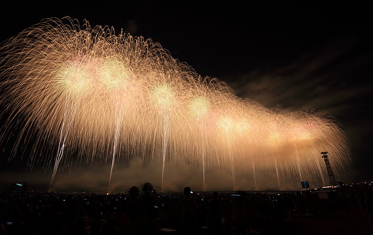 focs artificials, pirotècnia, celebració, esdeveniment, any nou, Mostra el, nit