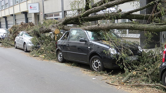 audros padarytos žalos, kaip medis, šrifto šriftas klasės pavojus šrifto šriftas