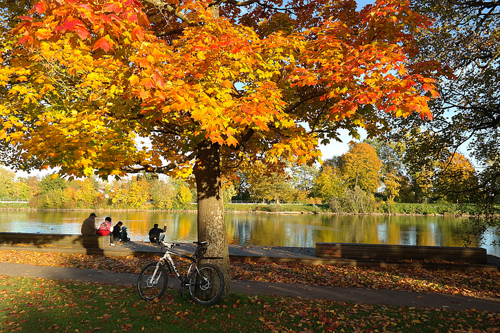 herfst, tijd van het jaar, Donau, Bank, rest, idylle, mountainbike