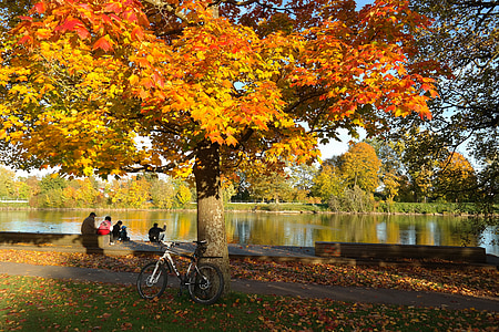 autumn, time of year, danube, bank, rest, idyll, mountain bike