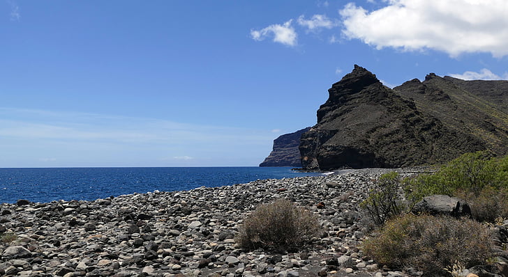 La reptiler, Canary island, ön, Kanarieöarna, Spanien, södra, bokade