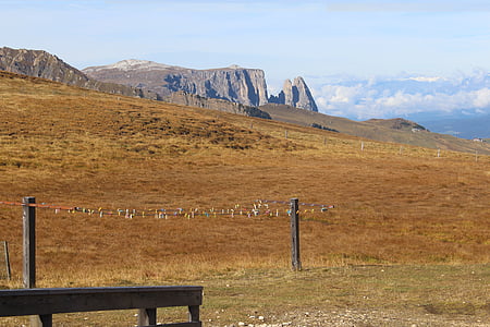 Wiese, Berge, Blick, Alpine, Panorama, in Südtirol, Vision