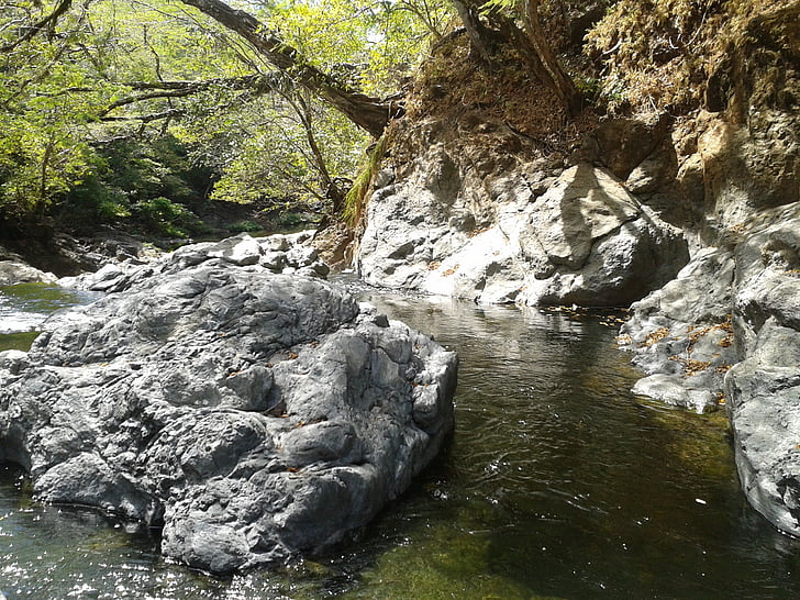 Roche, vesi, Luonto, River, Stream, vesiputous, Metsä