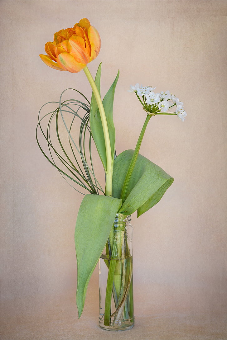 kwiaty, Tulipan, pomarańczowy, Wazon Flower, wiosenne kwiaty, kwiaty cięte, art deco