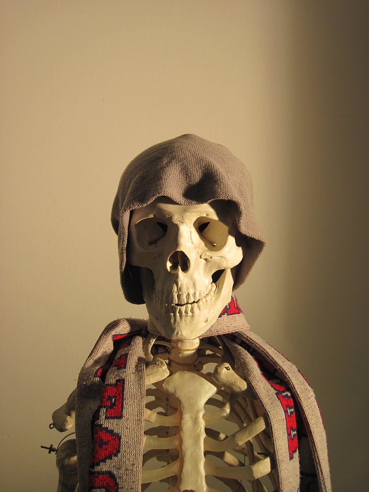 esqueleto, Cap, cachecol, luz lateral, diversão, osso, caveira