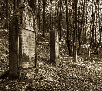 Polsko, Kazimierz dolny, Památník, nekropole, židovský hřbitov