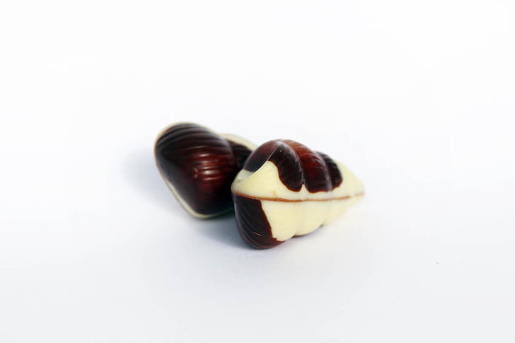belgian chocolates, mussels, chocolate, chocolates, candy, nibble, chocolate praline