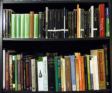 knygų lentynoje, kolekcija, knygos, skaityti, skaitymas, klasika, istorija