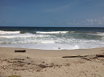 παρασυρόμενα απλάδια, ξύλο, παραλία, Άμμος, Ωκεανός, στη θάλασσα, ακτογραμμή