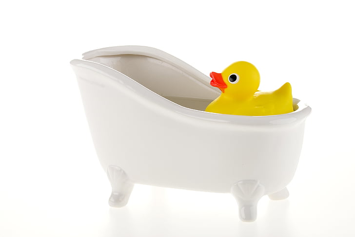 duck, bath, water, floats, toy, rubber, yellow
